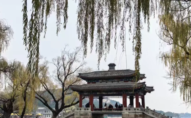 智慧景区项目建设避坑指南:技术选型盲目跟风