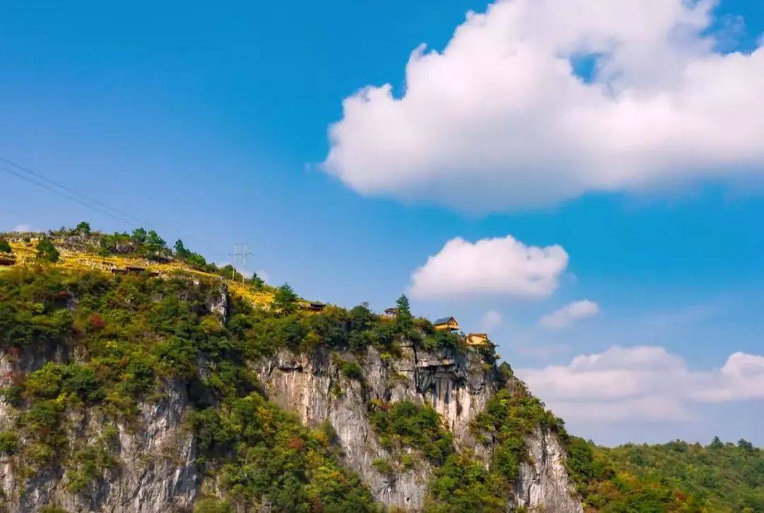 20191108303622.jpeg 157a95add8d14ed6b83d0c2f41c6a455.jpeg