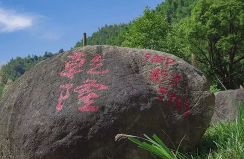 20191213590862.png wKgED1u7W4WAWuitAASX0J5MF_A131.png