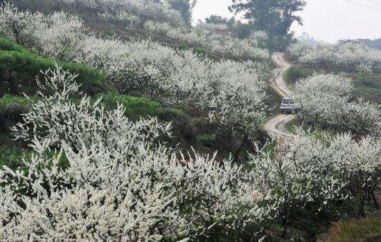 20200108961835.jpg timg (1).jpg