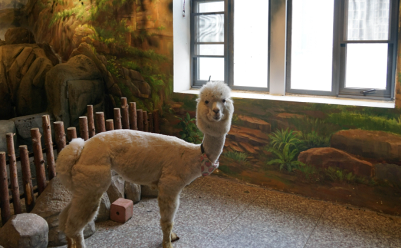 1639362865315661.png image.png