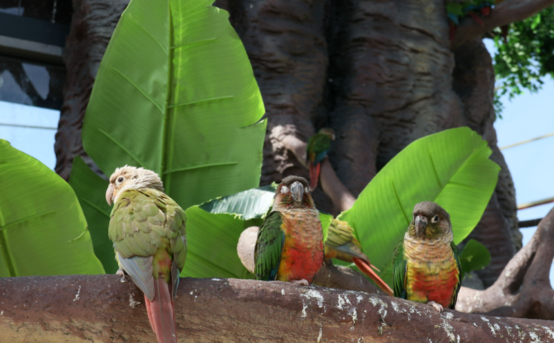 1639362903792986.png image.png