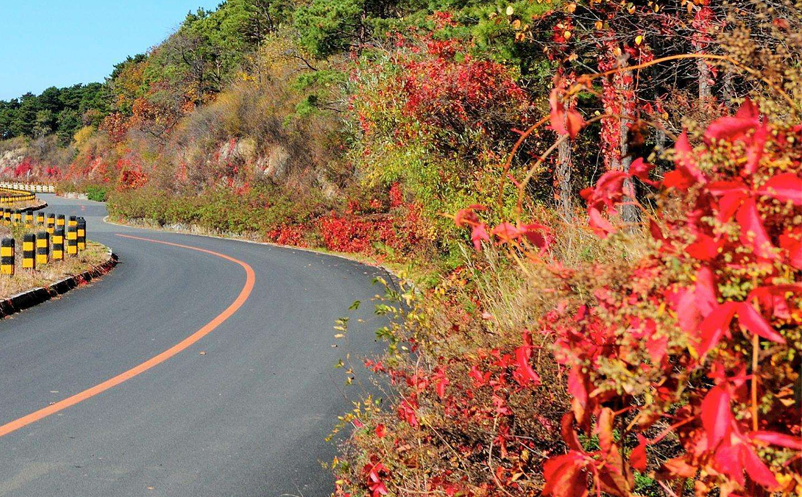 旅游景区如何提高员工服务意识 旅游景区如何提高员工服务意识