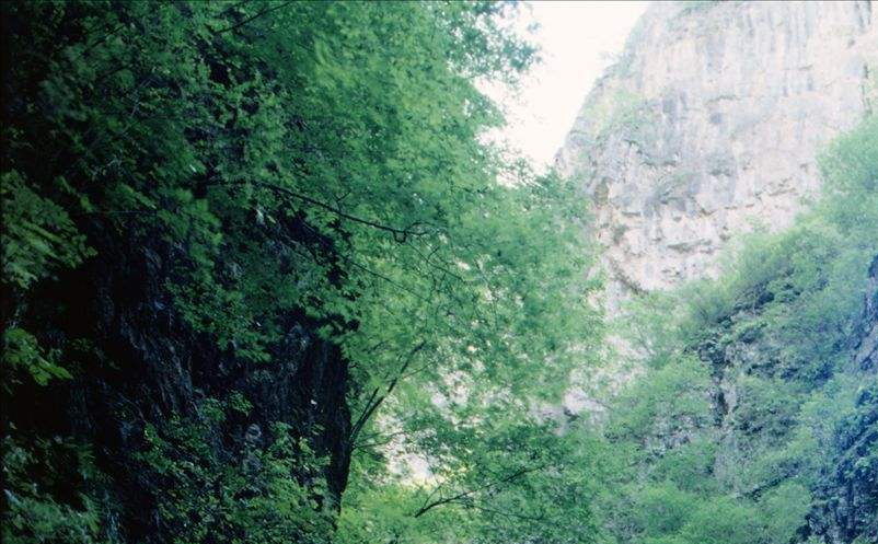 景区定价策略 景区定价策略