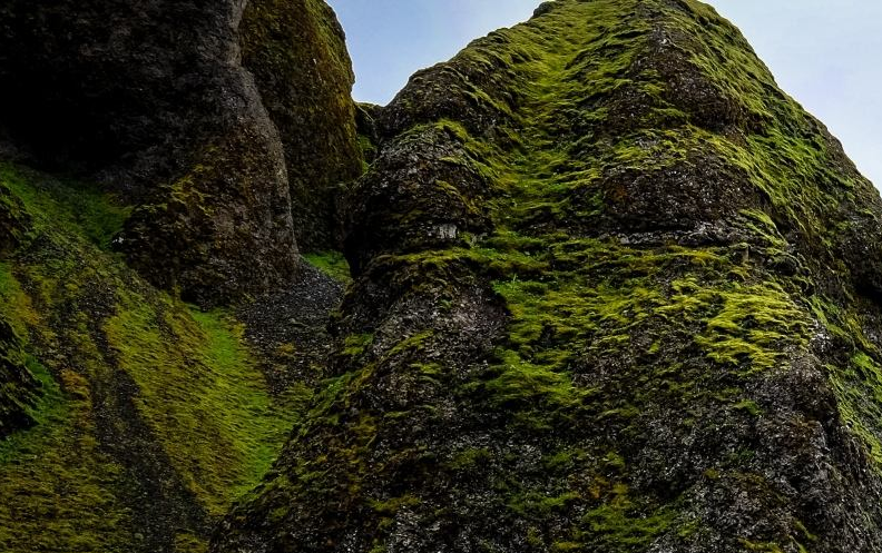 入出境旅游政策 入出境旅游政策
