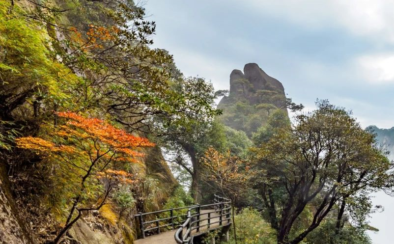 体验经济 体验经济