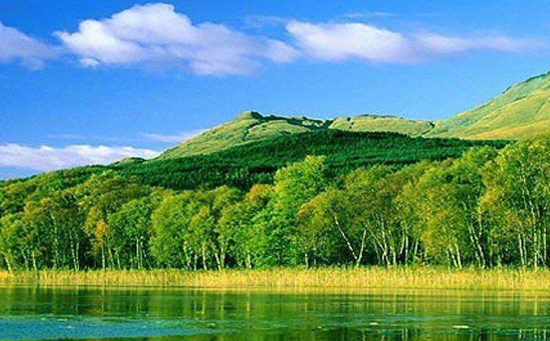 景区互联网短视频营销 景区互联网短视频营销