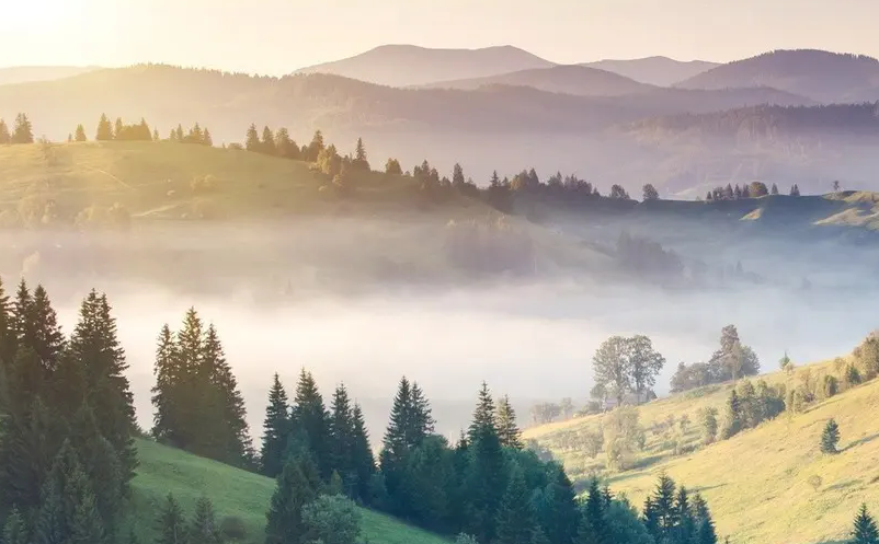 1647501876535528.png image.png