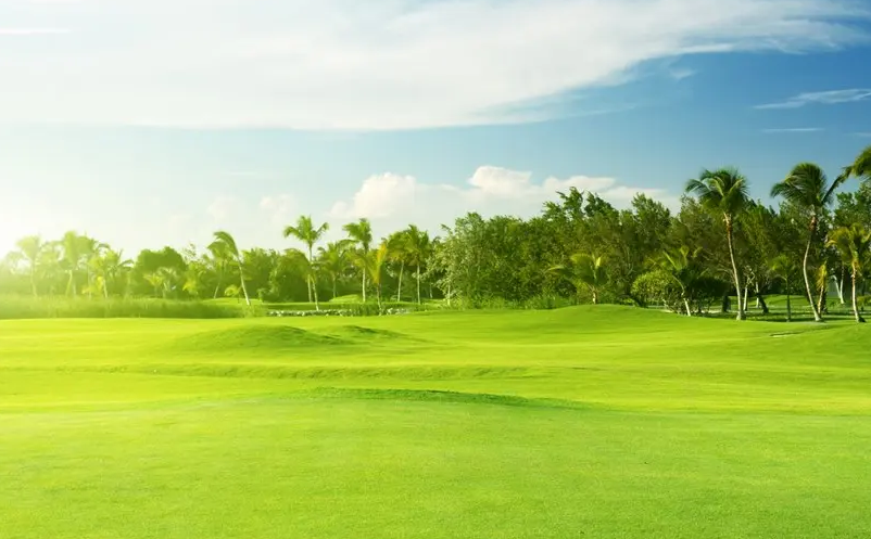 1647502161358950.png image.png