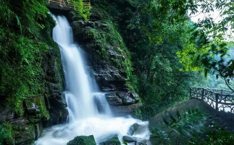 1650008127359515.png image.png