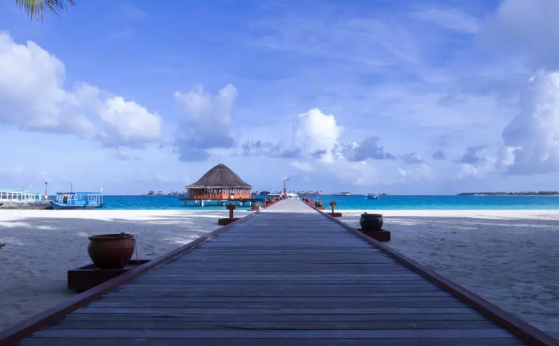 1652693168423992.png image.png