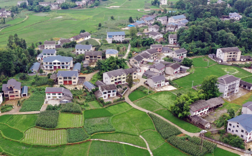 1653635224957667.png image.png