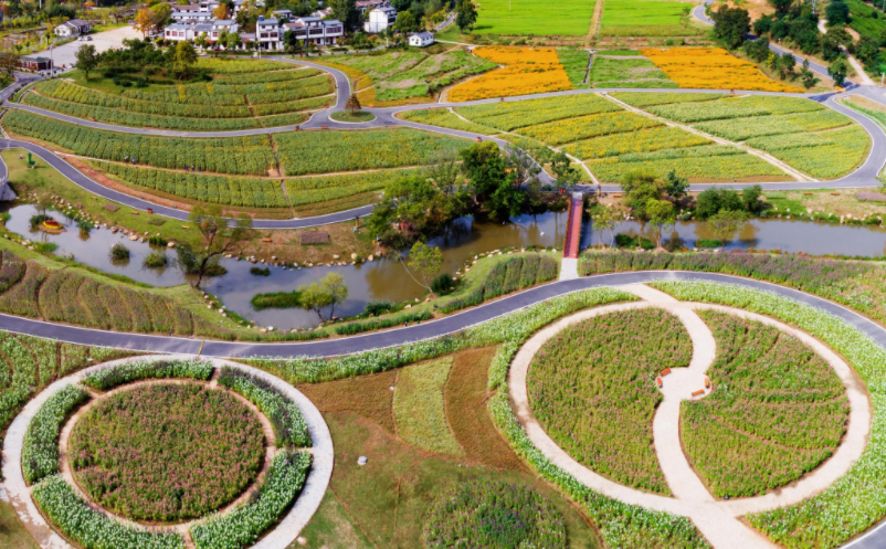 1656056713571634.png image.png