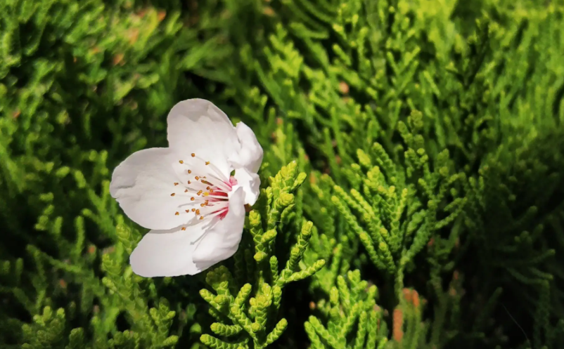 1657788321737345.png image.png