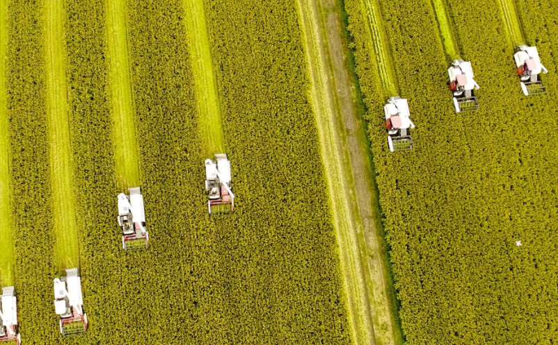 1657789534766884.png image.png