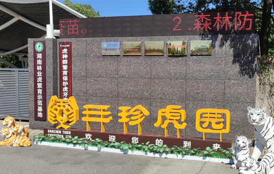 1665538396705881.png image.png