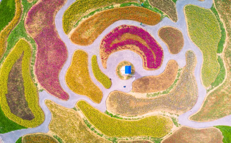 1756781730791207.png image.png