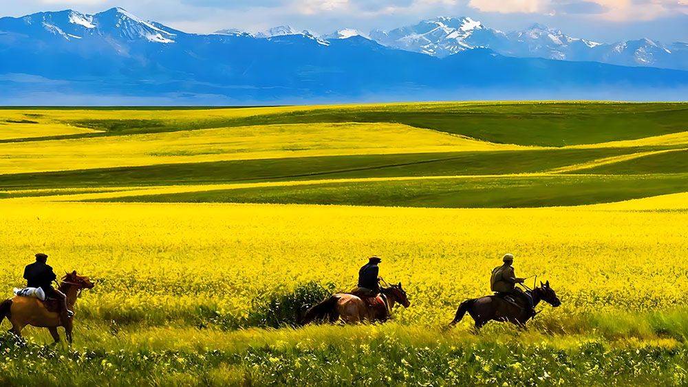 昭苏天马文化园和易景通景区票务系统达成合作协议 昭苏天马文化园和易景通景区票务系统达成合作协议